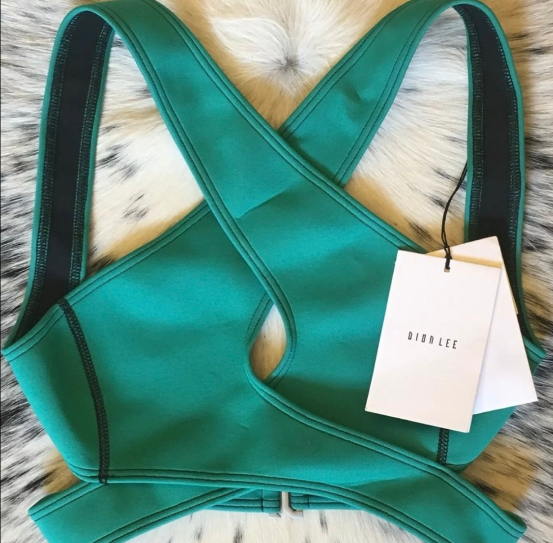 DION LEE VERTIGO BIKINI